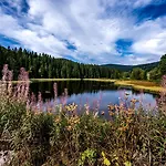 Apartamento Sunneschii, Hoechenschwand, Dorf Am Himmel, Sauna Im Haus *