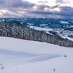 Apartamento Sunneschii, Hoechenschwand, Dorf Am Himmel, Sauna Im Haus *