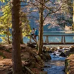 Sunneschii, Hoechenschwand, Dorf Am Himmel, Sauna Im Haus Höchenschwand