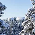 Apartamento Sunneschii, Hoechenschwand, Dorf Am Himmel, Sauna Im Haus Höchenschwand