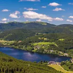 Sunneschii, Hoechenschwand, Dorf Am Himmel, Sauna Im Haus Apartamento Höchenschwand