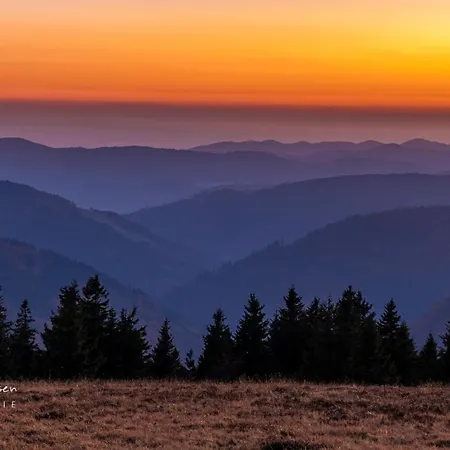 Sunneschii, Hoechenschwand, Dorf Am Himmel, Sauna Im Haus 아파트
