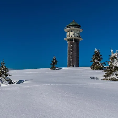 아파트 Sunneschii, Hoechenschwand, Dorf Am Himmel, Sauna Im Haus *