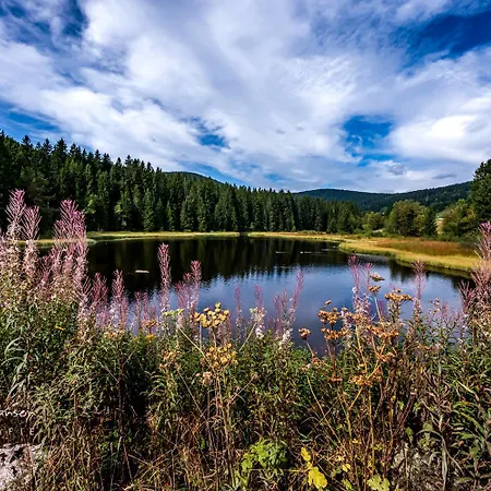 아파트 Sunneschii, Hoechenschwand, Dorf Am Himmel, Sauna Im Haus *