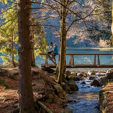 Sunneschii, Hoechenschwand, Dorf Am Himmel, Sauna Im Haus 호헨스반트