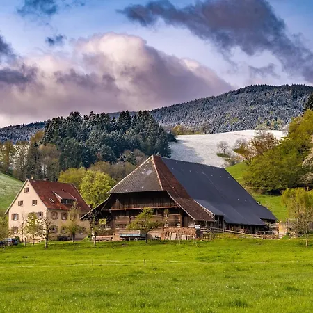 Sunneschii, Hoechenschwand, Dorf Am Himmel, Sauna Im Haus
