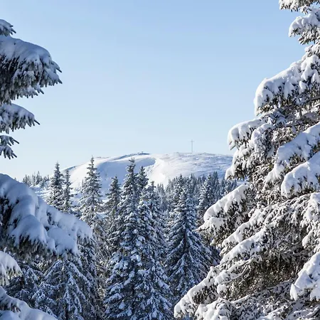 아파트 Sunneschii, Hoechenschwand, Dorf Am Himmel, Sauna Im Haus 호헨스반트