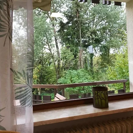 Sunneschii, Hoechenschwand, Dorf Am Himmel, Sauna Im Haus Apartment *