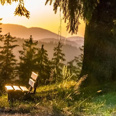 Apartment Sunneschii, Hoechenschwand, Dorf Am Himmel, Sauna Im Haus *