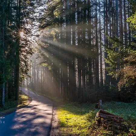 Sunneschii, Hoechenschwand, Dorf Am Himmel, Sauna Im Haus Apartament Höchenschwand
