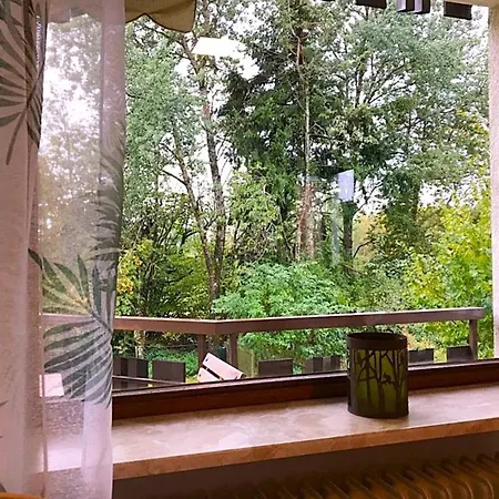 Apartment Sunneschii, Hoechenschwand, Dorf Am Himmel, Sauna Im Haus Hoechenschwand